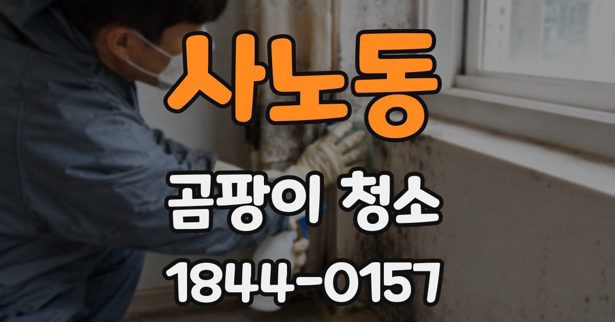 사노동 곰팡이 청소