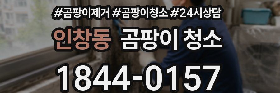 인창동 곰팡이 청소
