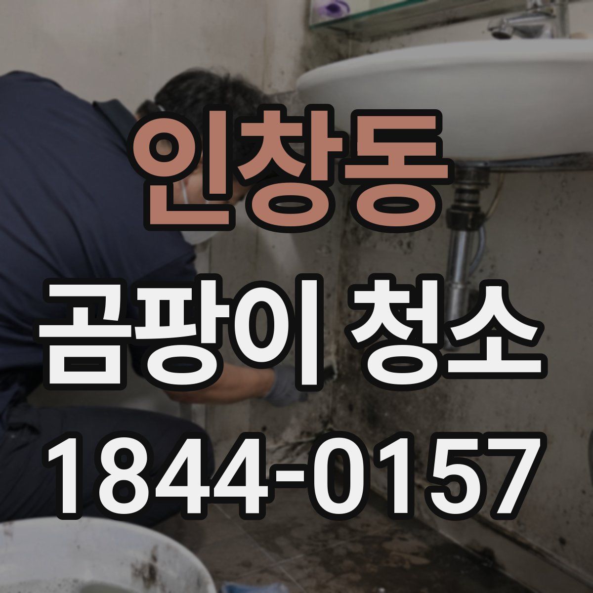 인창동 곰팡이 청소
