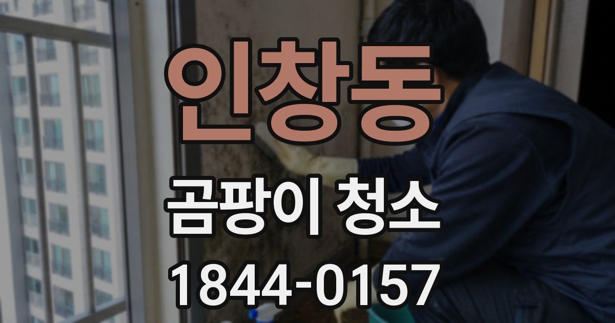 인창동 곰팡이 청소