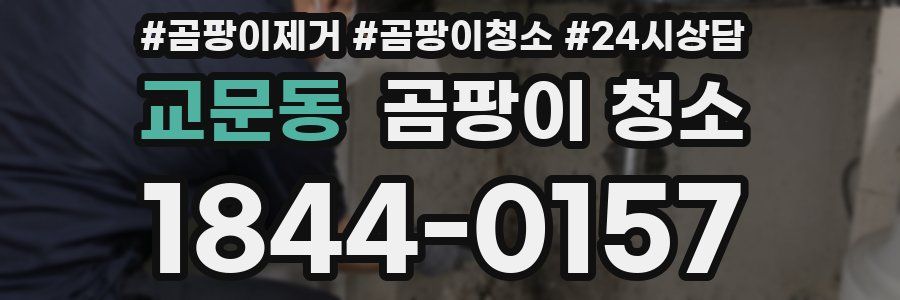 교문동 곰팡이 청소