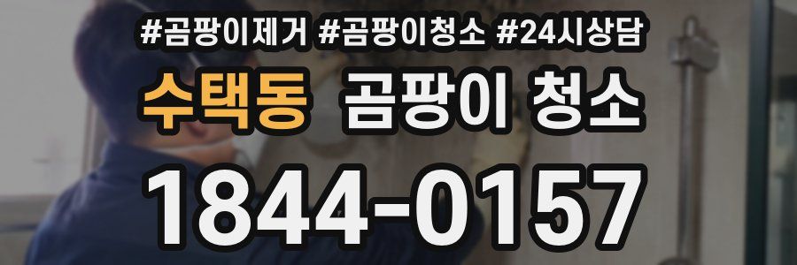 수택동 곰팡이 청소