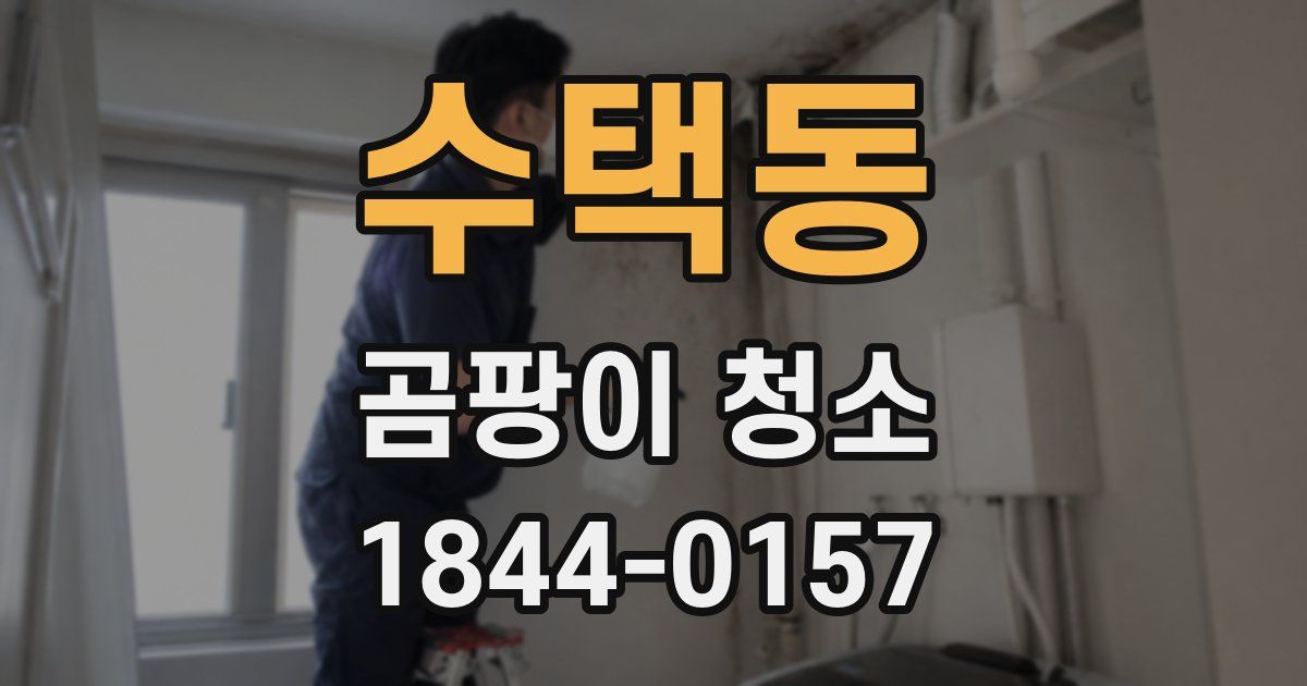 수택동 곰팡이 청소