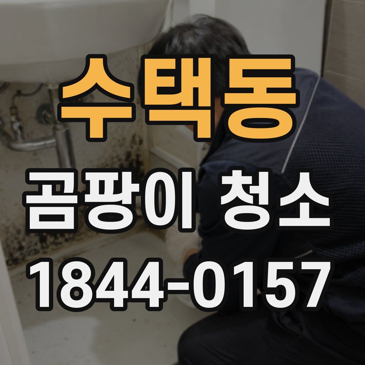 수택동 곰팡이 청소