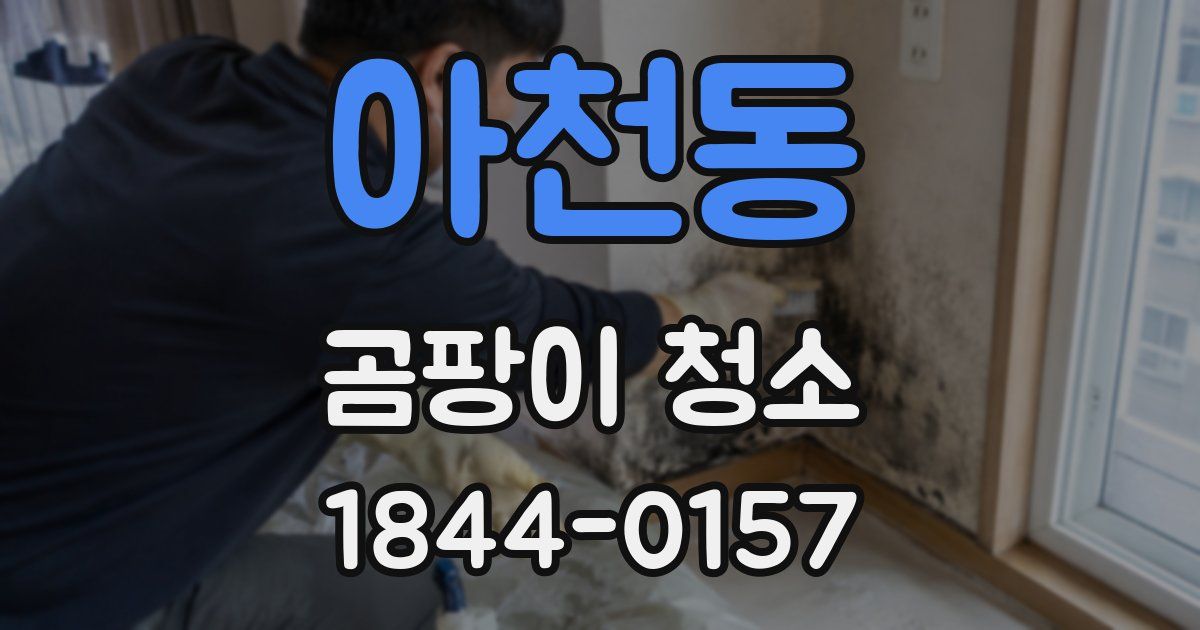 아천동 곰팡이 청소