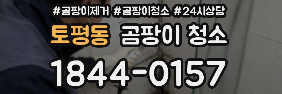 토평동 곰팡이 청소