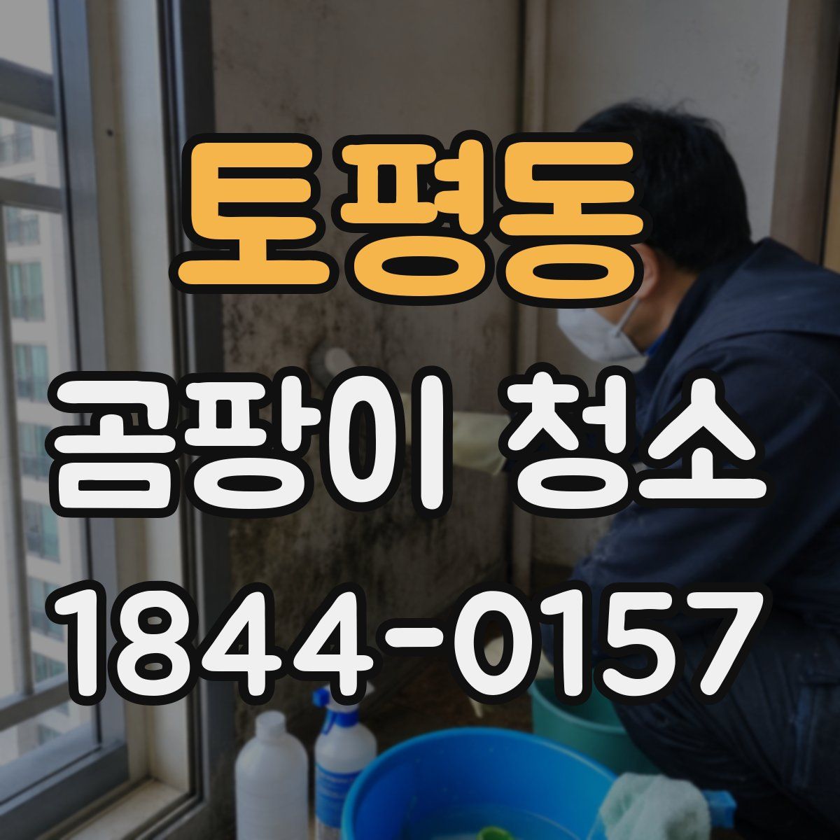 토평동 곰팡이 청소