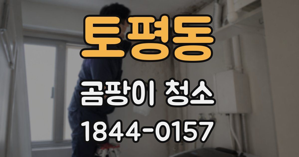 토평동 곰팡이 청소