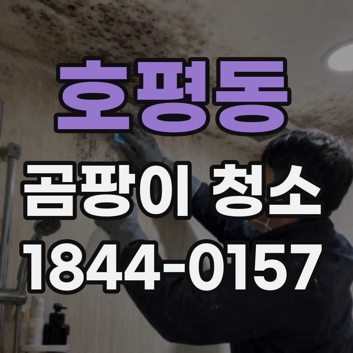 호평동 곰팡이 청소