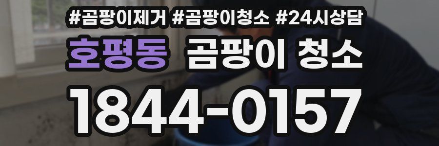 호평동 곰팡이 청소
