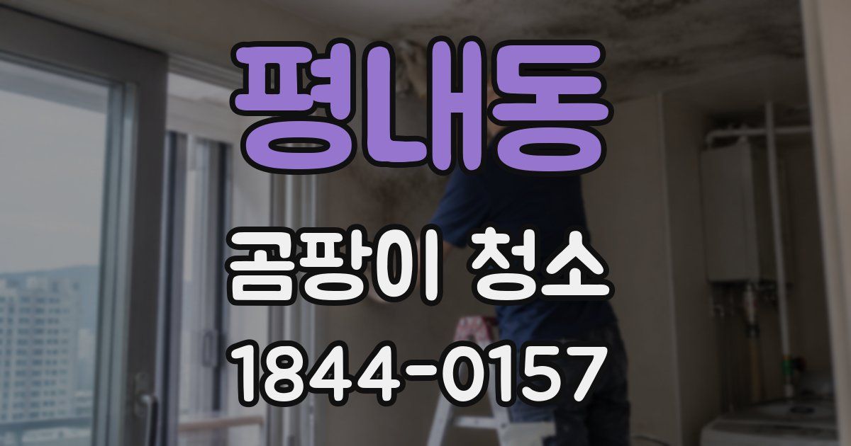 평내동 곰팡이 청소
