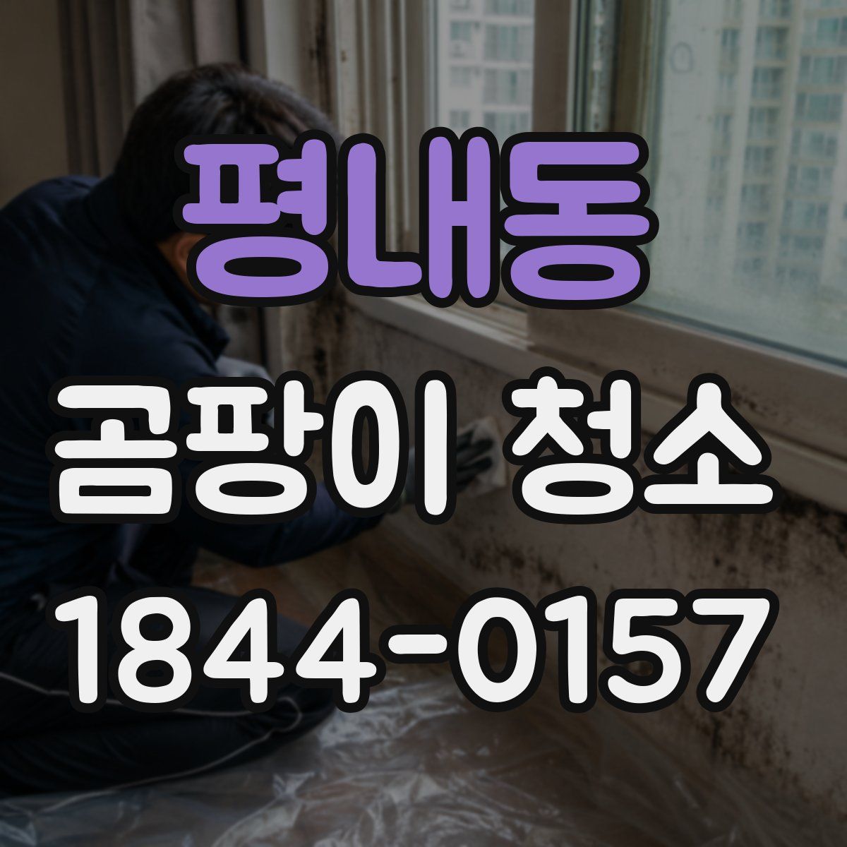 평내동 곰팡이 청소