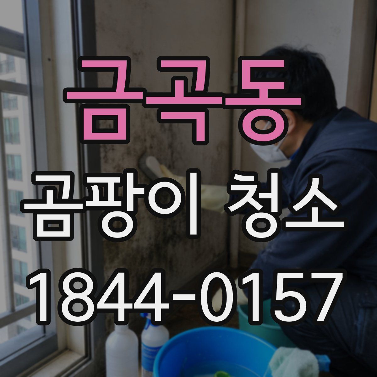 금곡동 곰팡이 청소