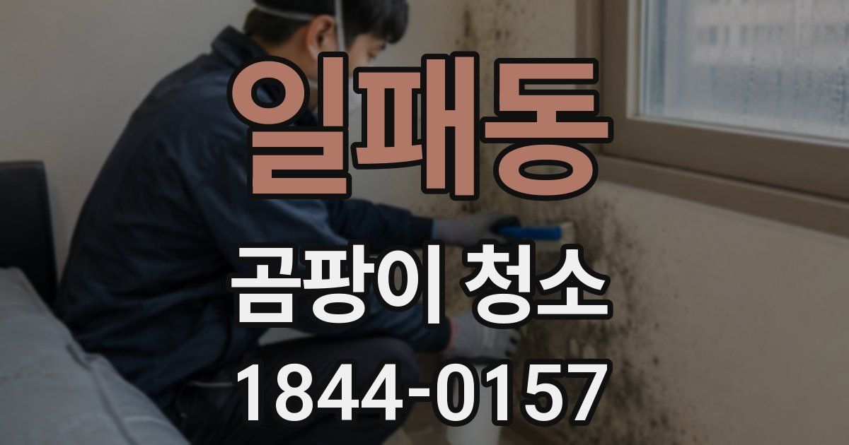 일패동 곰팡이 청소