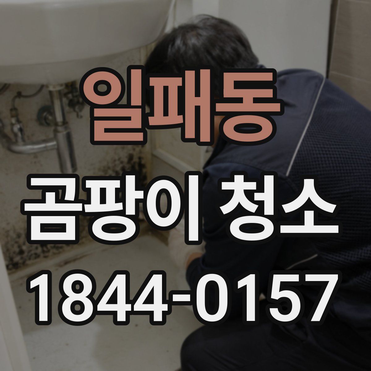 일패동 곰팡이 청소