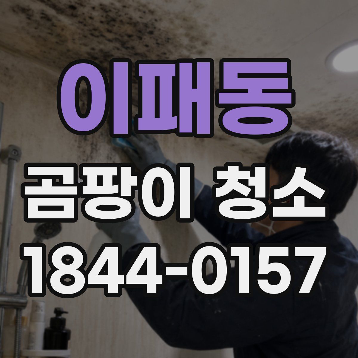 이패동 곰팡이 청소