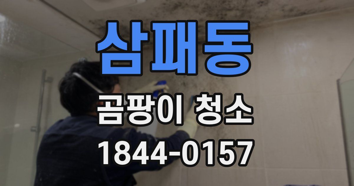 삼패동 곰팡이 청소