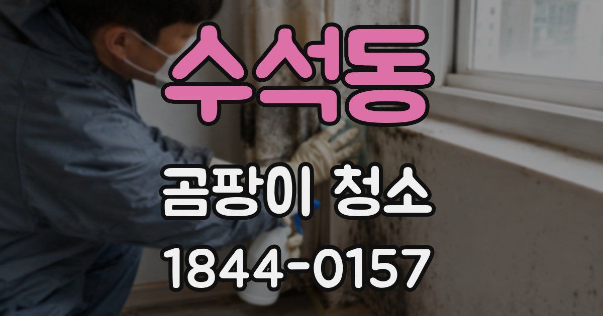 수석동 곰팡이 청소