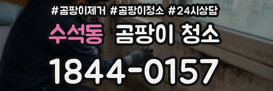 수석동 곰팡이 청소
