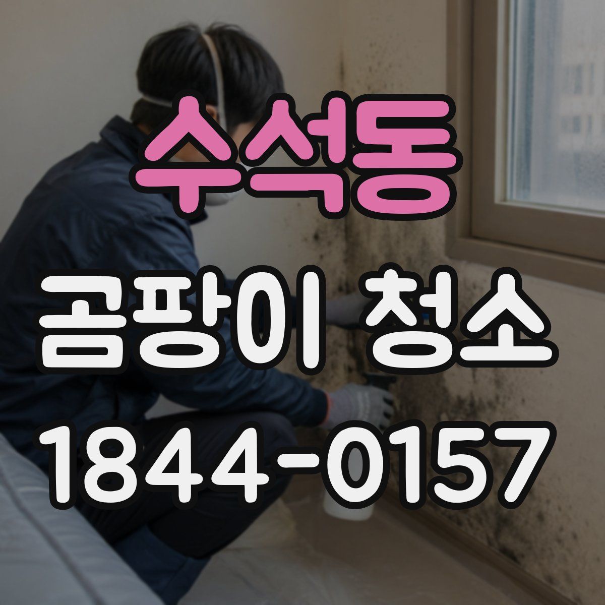 수석동 곰팡이 청소