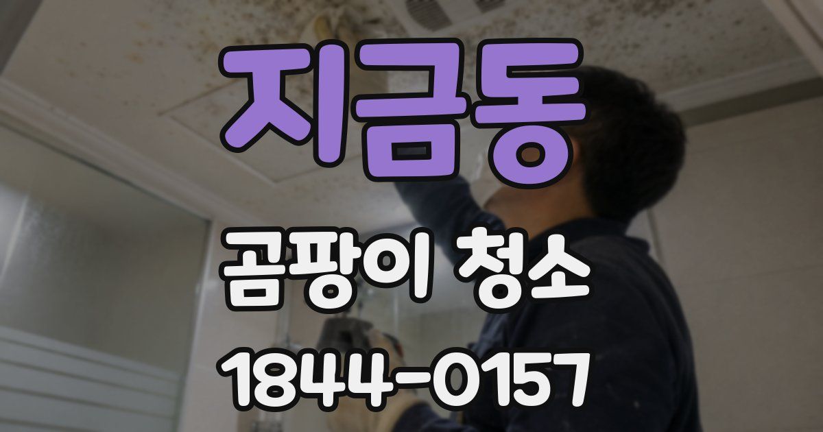지금동 곰팡이 청소