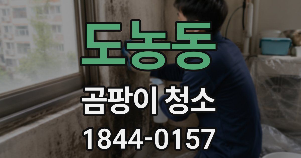 도농동 곰팡이 청소