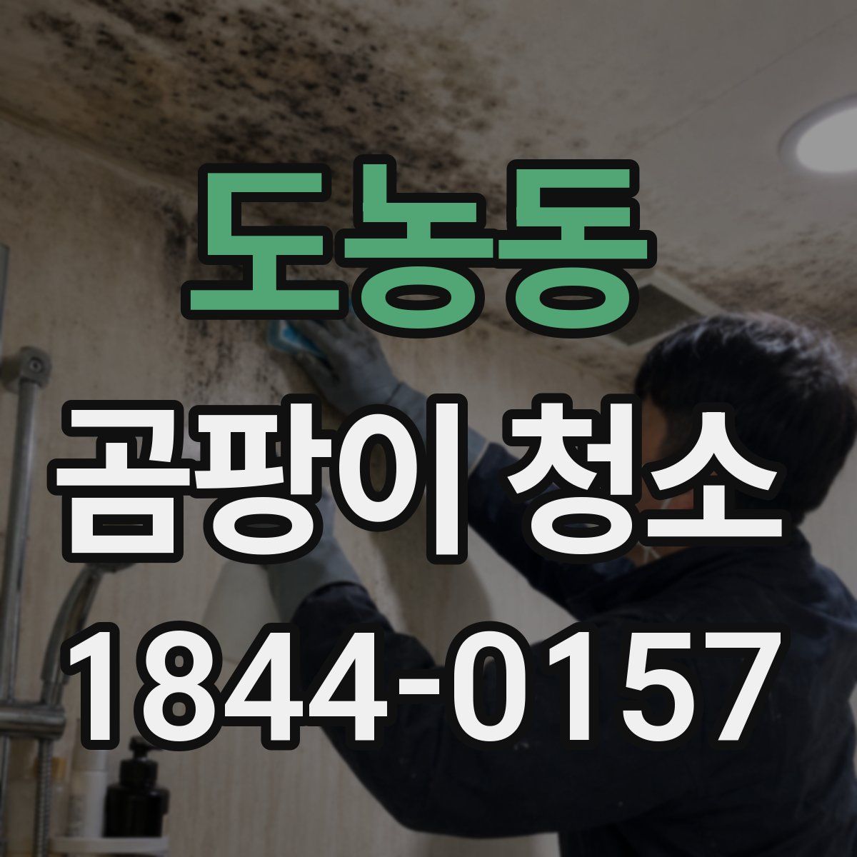 도농동 곰팡이 청소