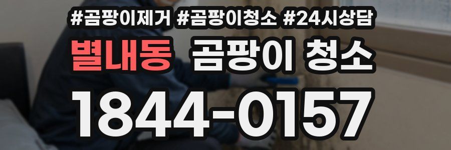 별내동 곰팡이 청소
