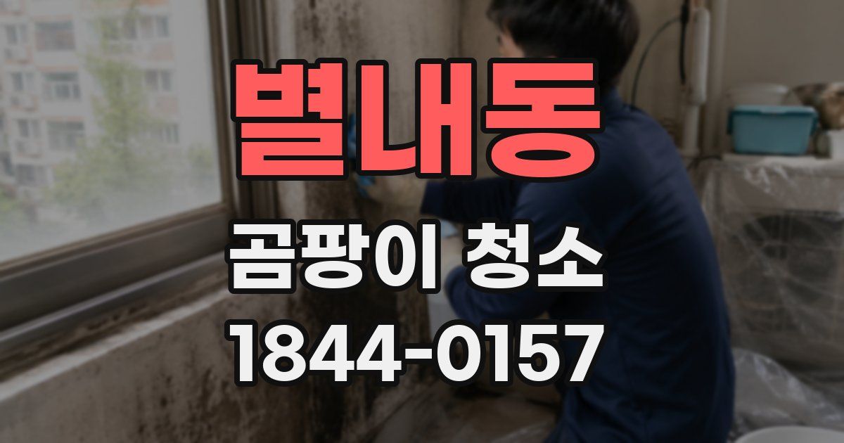 별내동 곰팡이 청소