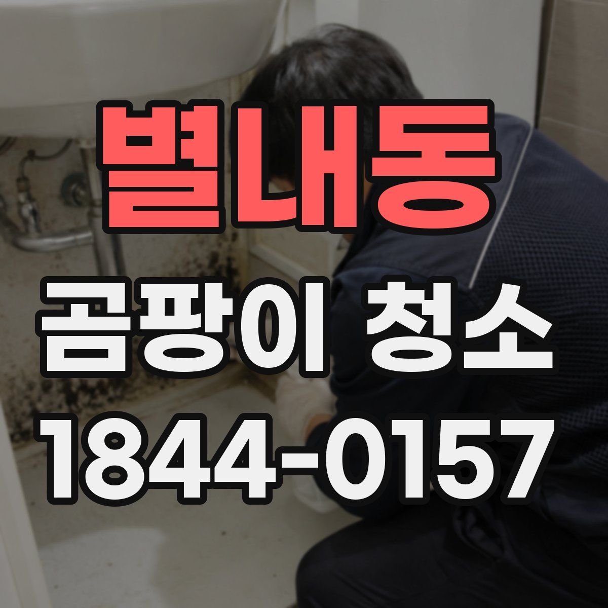 별내동 곰팡이 청소