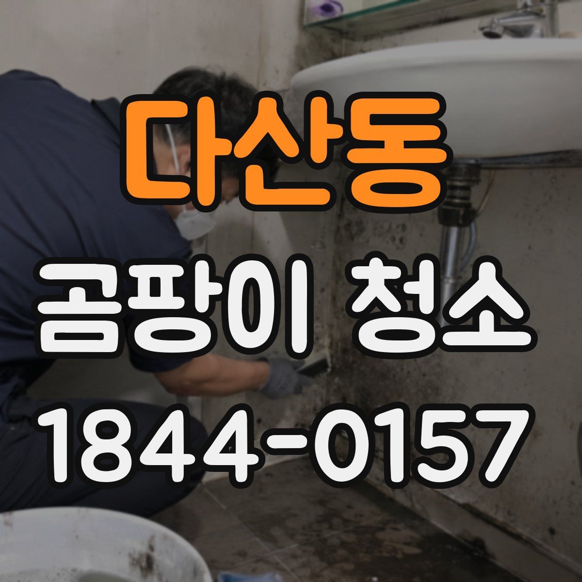 다산동 곰팡이 청소