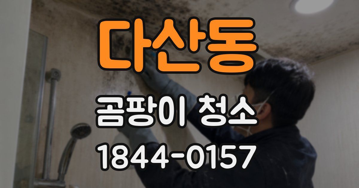 다산동 곰팡이 청소