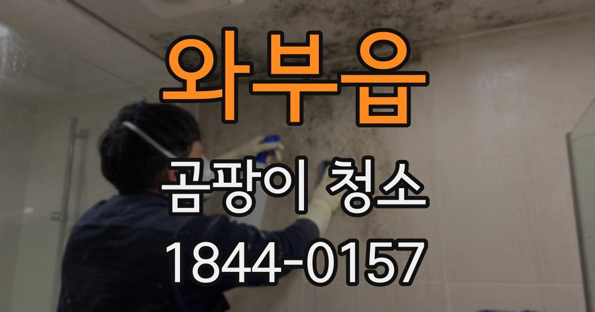 와부읍 곰팡이 청소