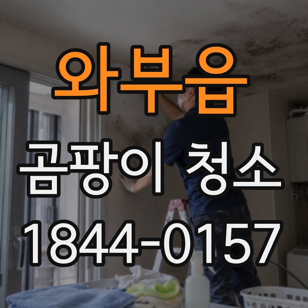 와부읍 곰팡이 청소