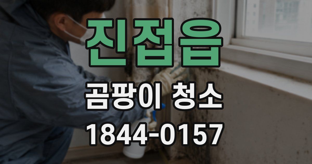 진접읍 곰팡이 청소