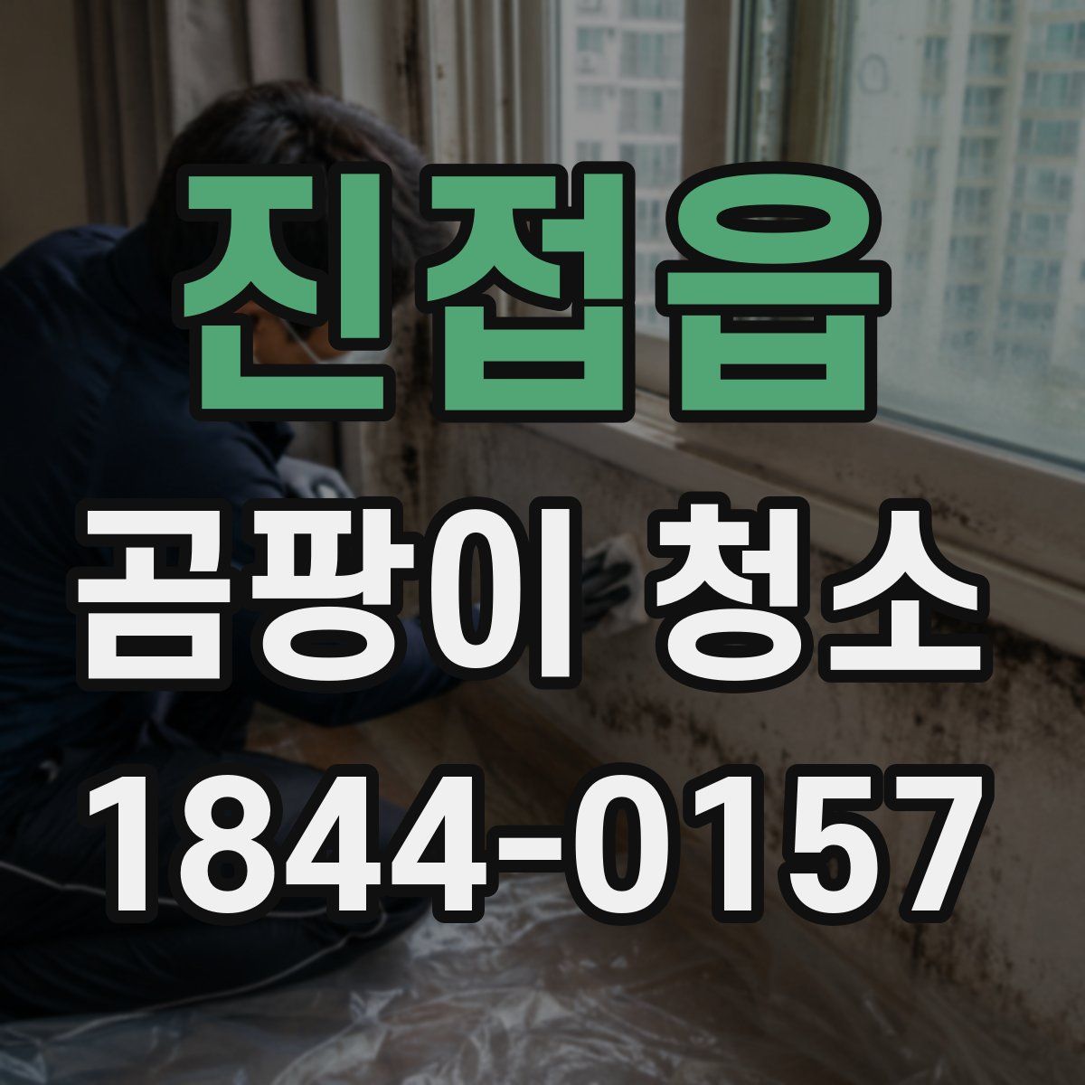 진접읍 곰팡이 청소