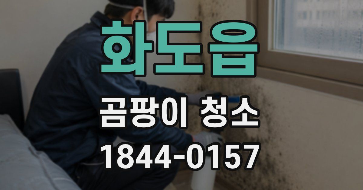 화도읍 곰팡이 청소