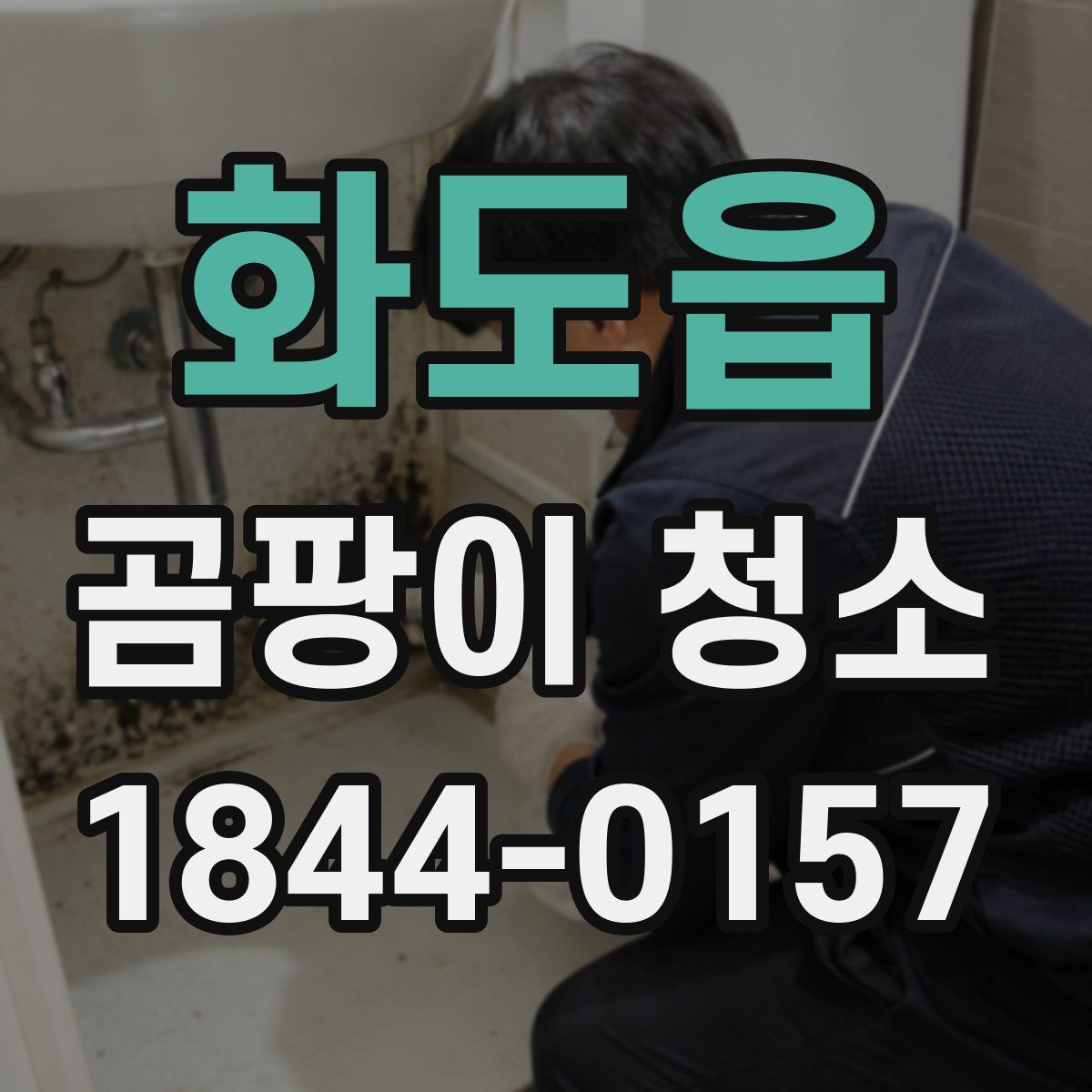 화도읍 곰팡이 청소