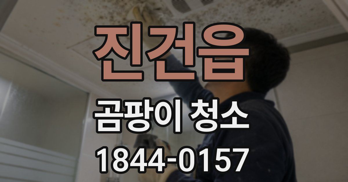 진건읍 곰팡이 청소