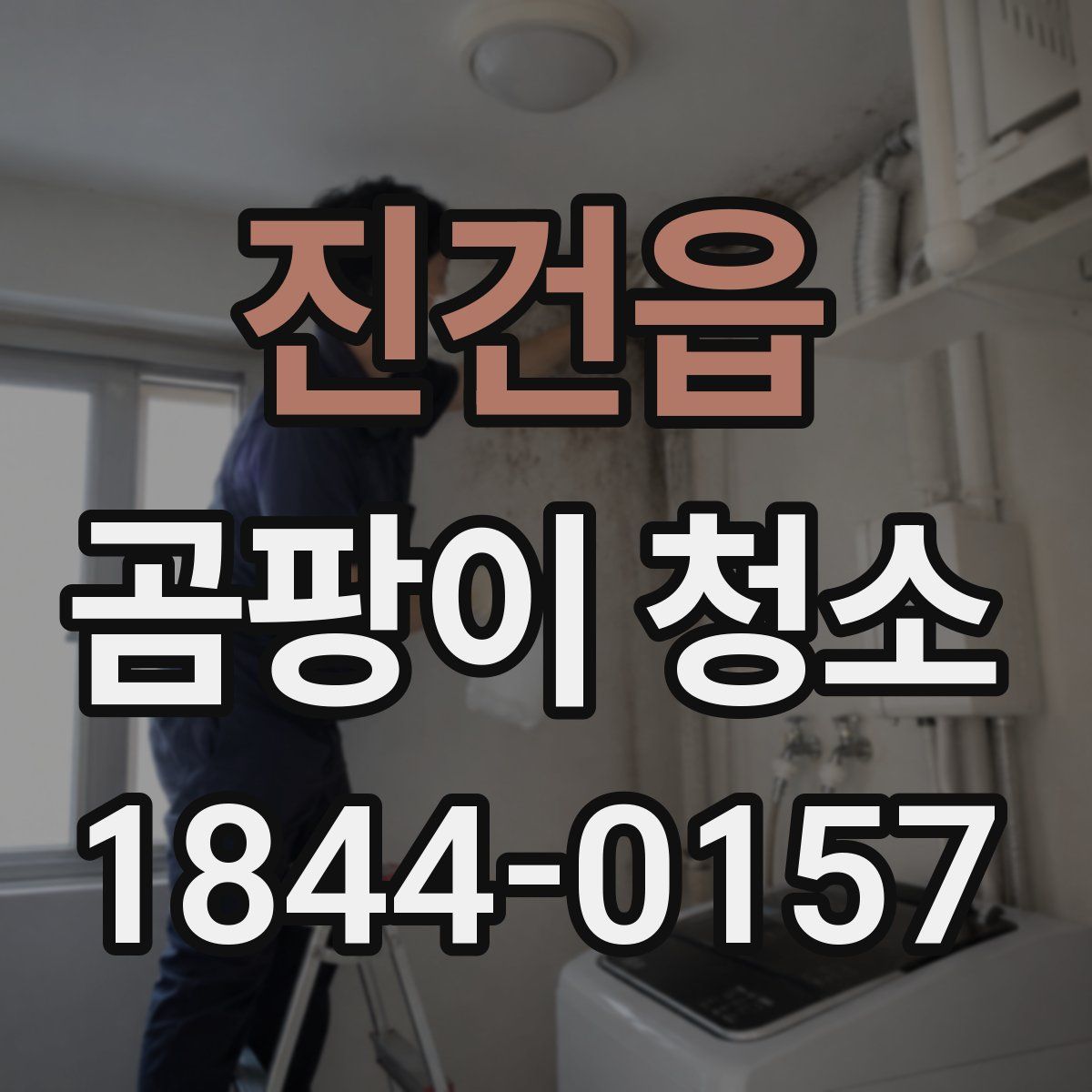 진건읍 곰팡이 청소