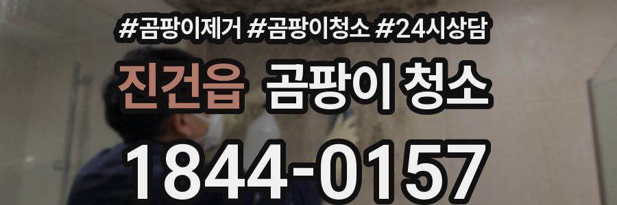 진건읍 곰팡이 청소