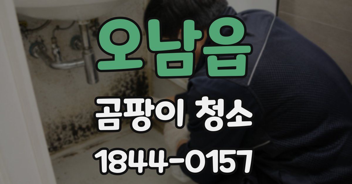 오남읍 곰팡이 청소