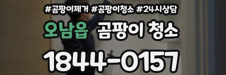 오남읍 곰팡이 청소