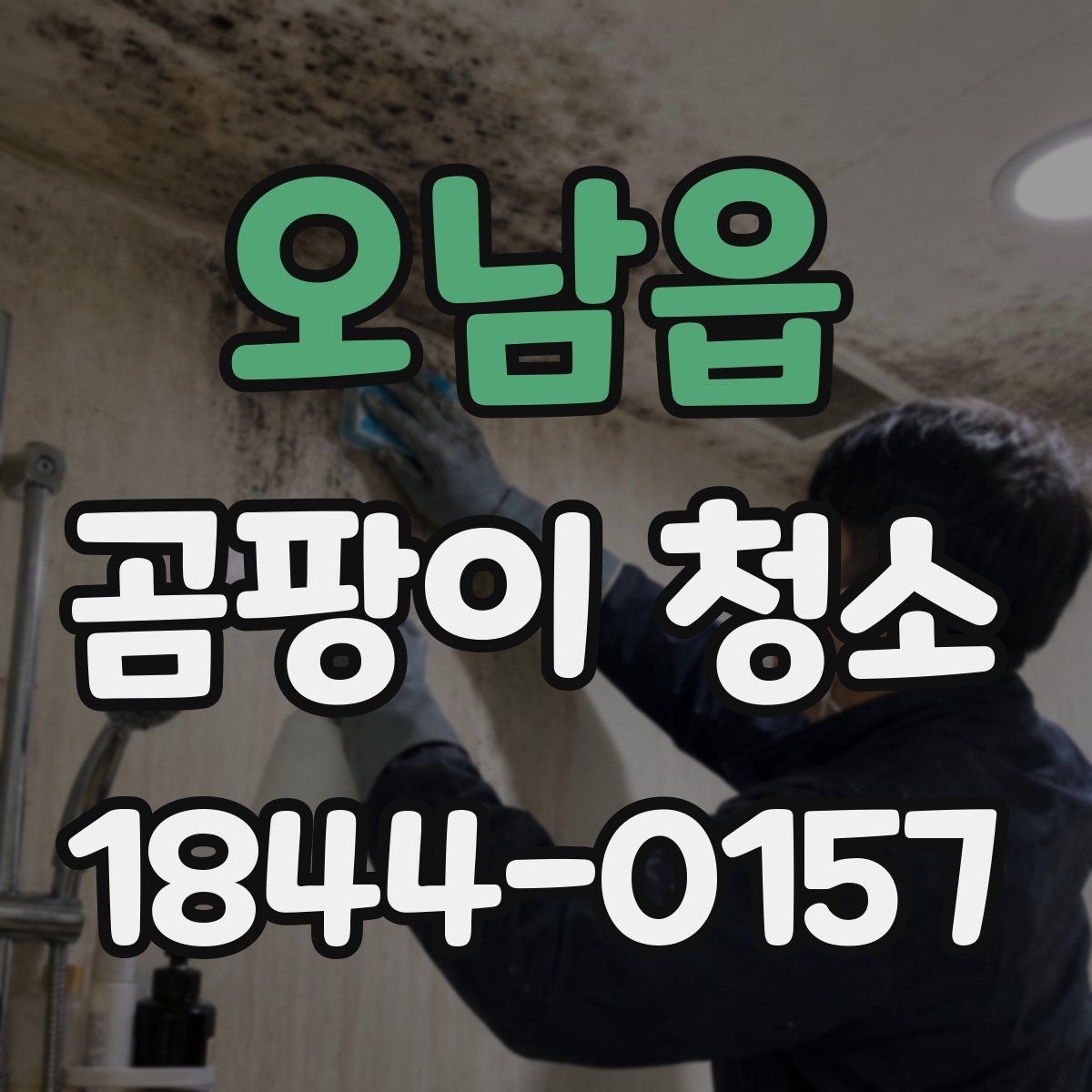 오남읍 곰팡이 청소