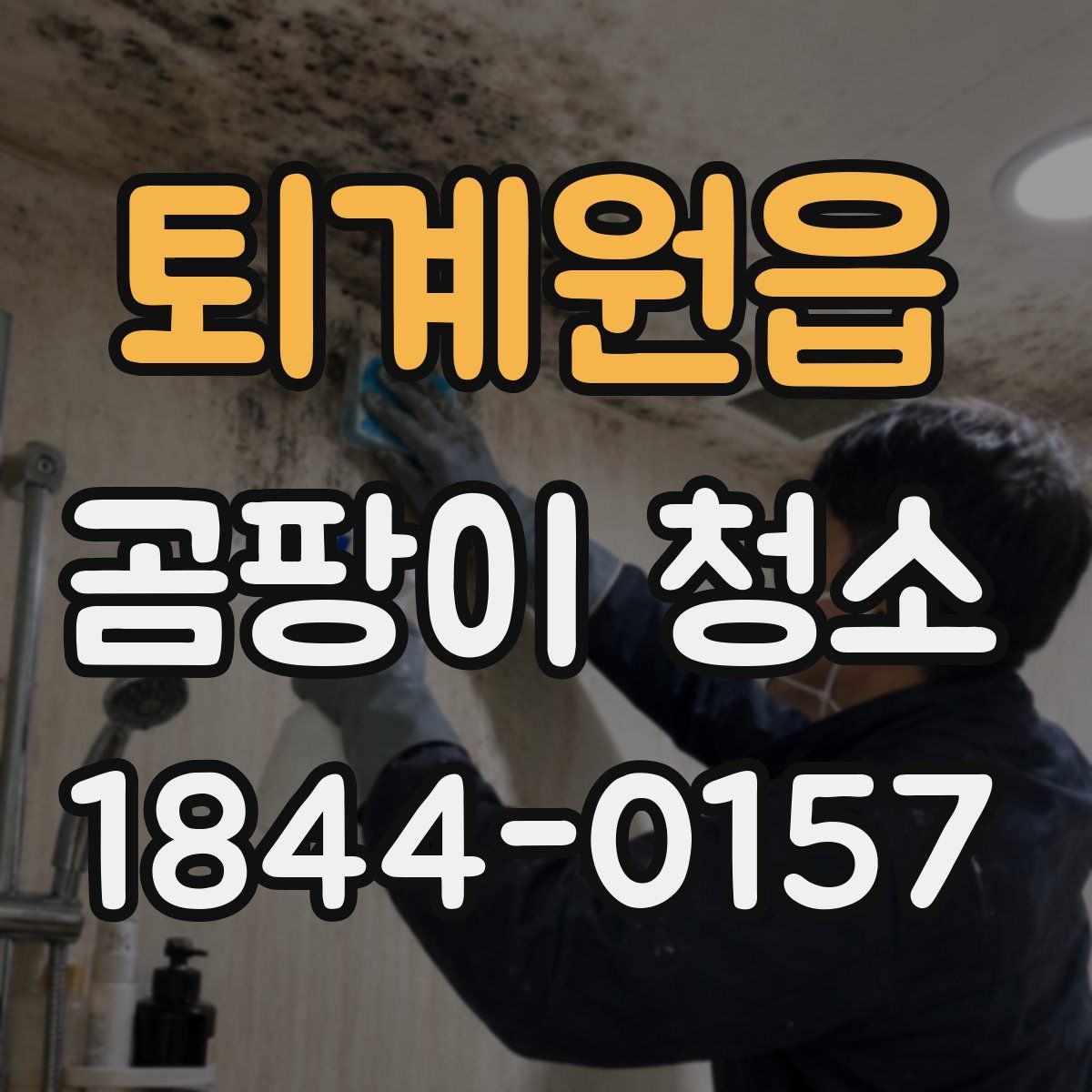 퇴계원읍 곰팡이 청소
