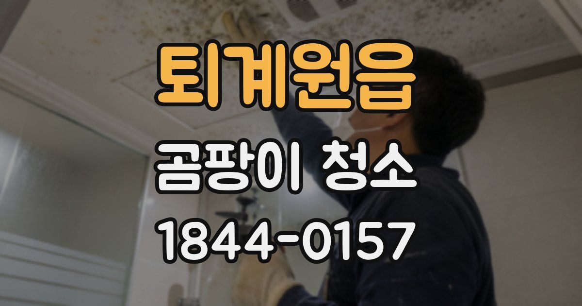 퇴계원읍 곰팡이 청소