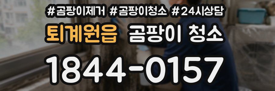 퇴계원읍 곰팡이 청소