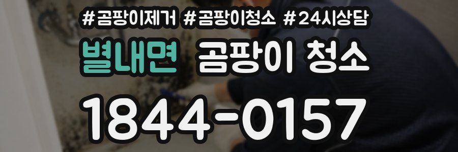 별내면 곰팡이 청소