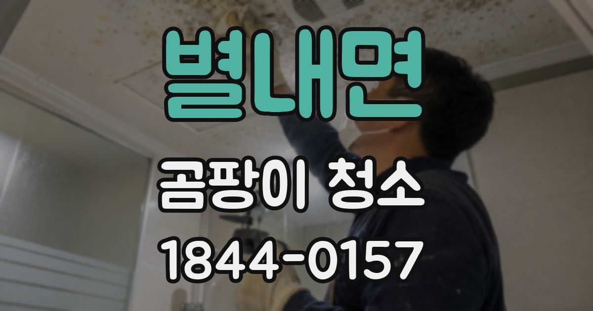 별내면 곰팡이 청소