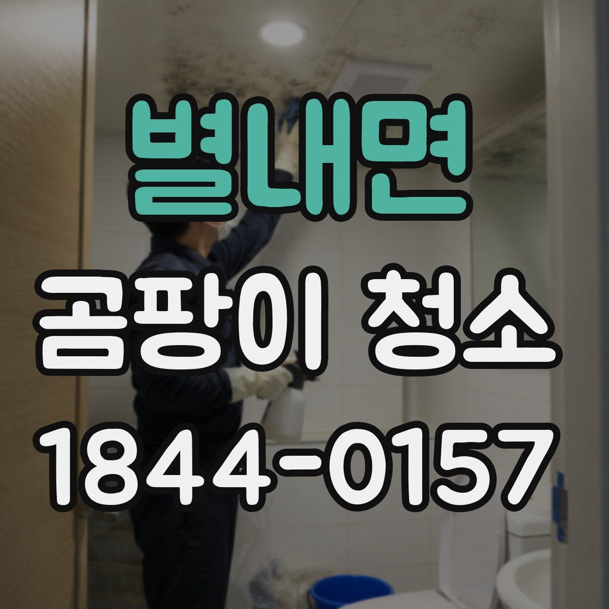 별내면 곰팡이 청소